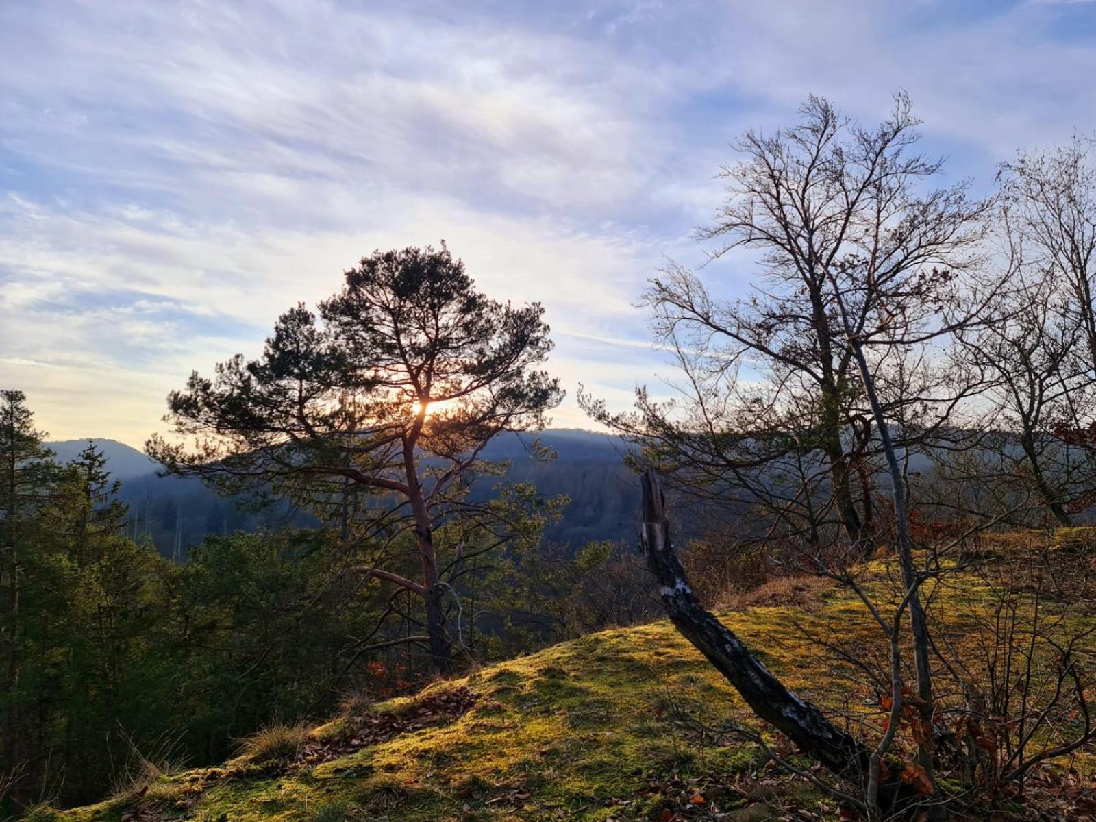 Ferienhaus Schoene Aussicht Ferienwohnung Gelb Hemfurth-Edersee المظهر الخارجي الصورة